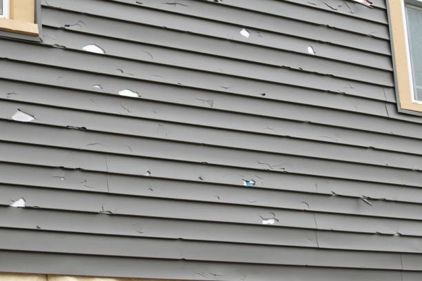 Best Dumpster Rental Services  in Victor, ID